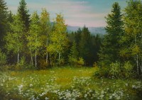 Ромашки